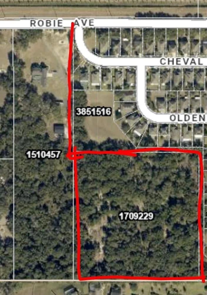 Property from 3016 ROBIE AVENUE - KW - Mount Dora, Florida, 32757