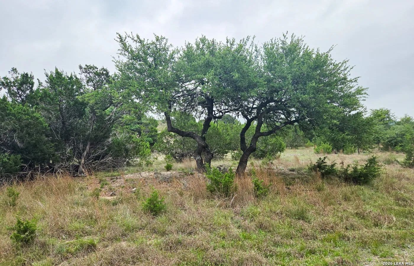 5 Acres of Land for Sale in Blanco, TX - Blanco, Texas, 78606