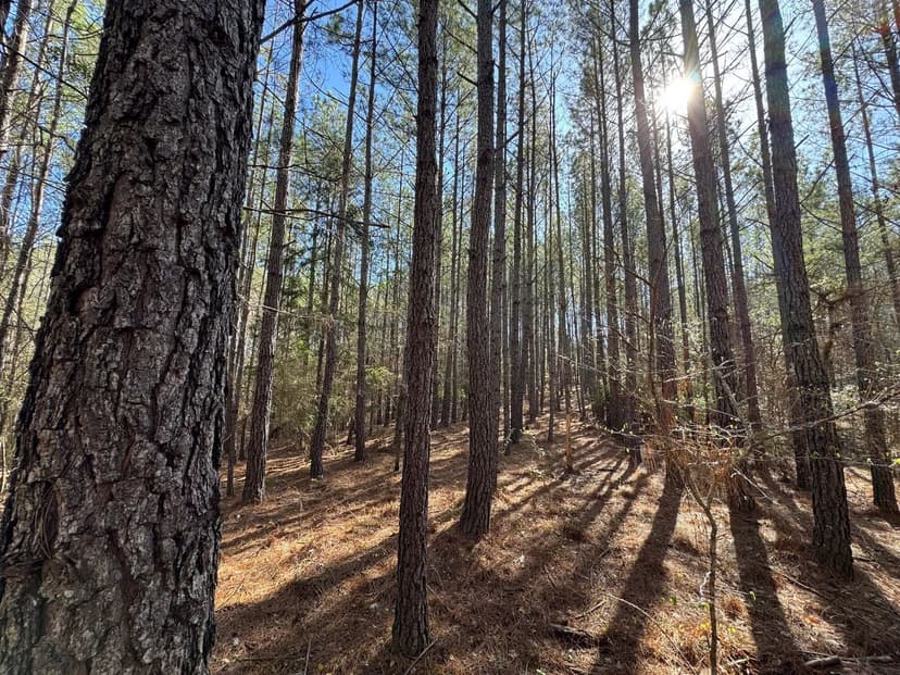 11 +/- Acres on Hwy 49, Tallassee