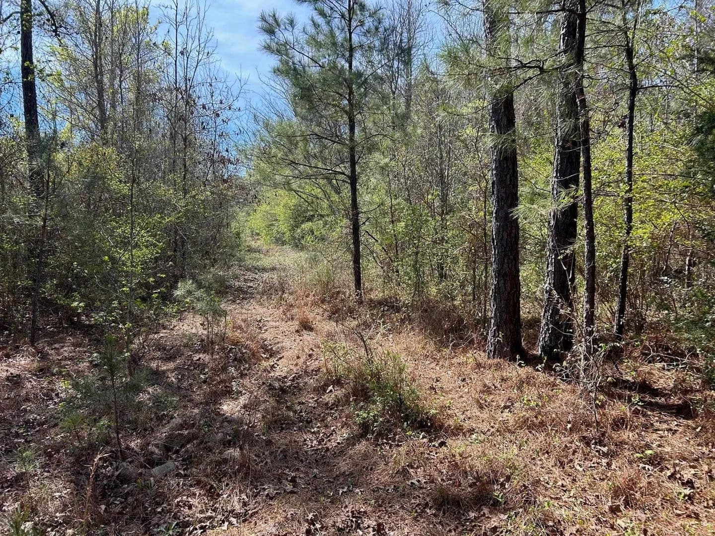 Lots & Land-Other in Marshall - Marshall, Texas, 75672
