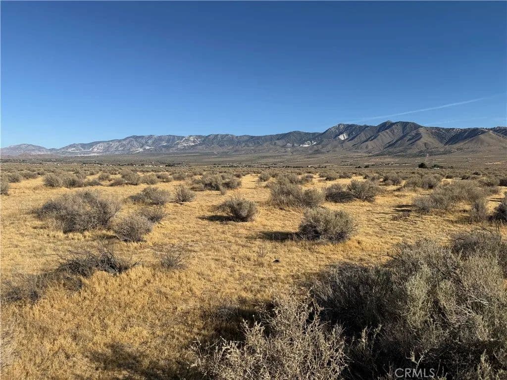 Vacant Land in Lucerne Valley - Lucerne Valley, California, 92356