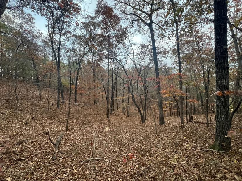 Depot Avenue - Jacksons Gap