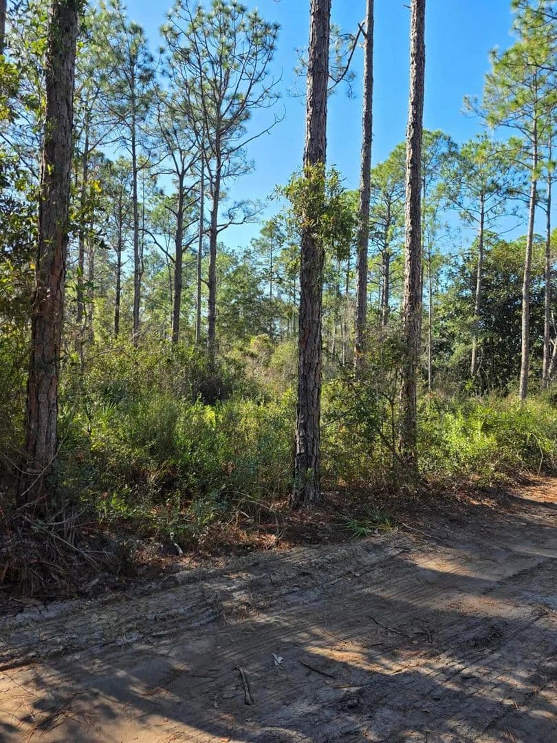 Lots & Land-Other in Santa Rosa Beach - Santa Rosa Beach, Florida, 32459