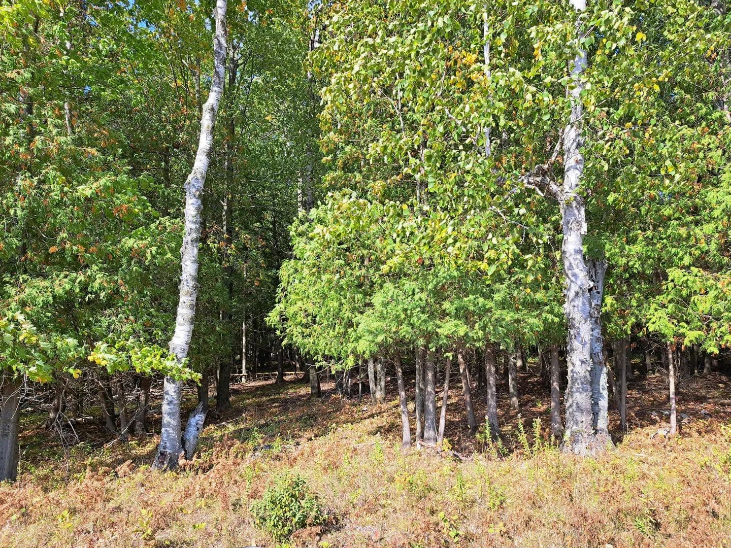 Vacant Land (10+ Acres) in Sturgeon Bay - Sturgeon Bay, Wisconsin, 54235