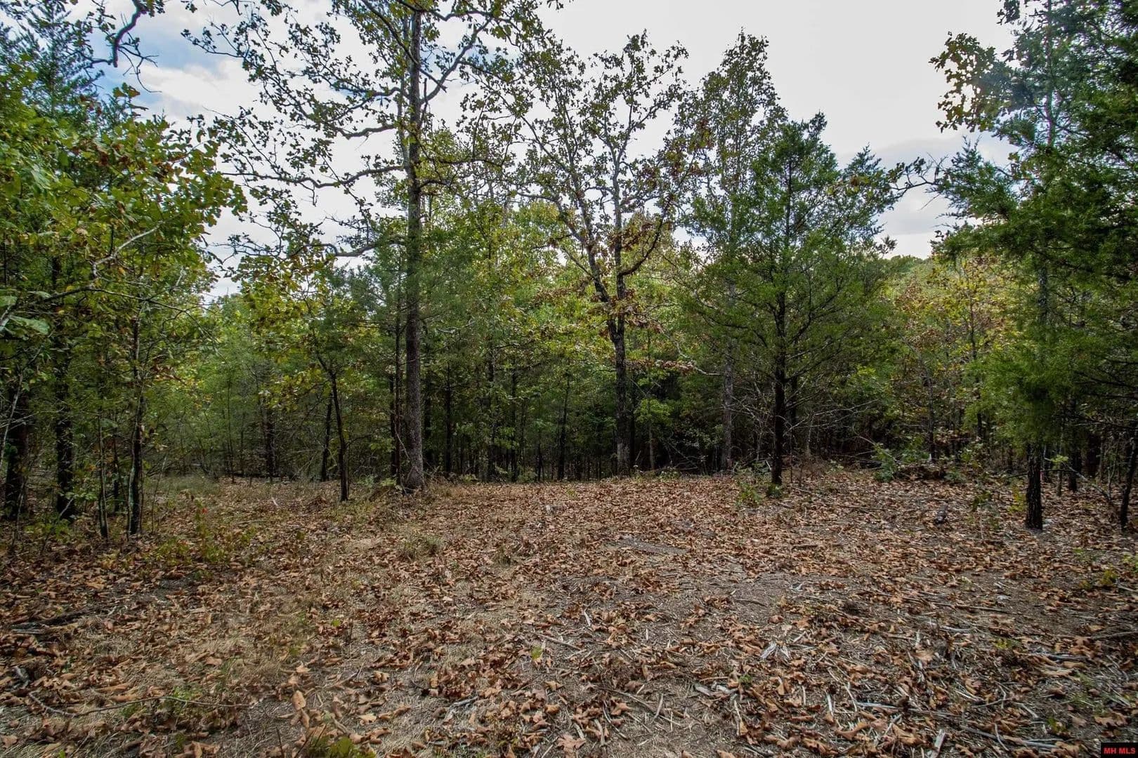 Lots & Land-Other in Mountain Home - Mountain Home, Arkansas, 72653