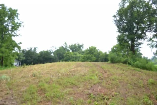 23 AC WITH CREEK / PUBIC WATER INSTALLED / PERCOLATION ON FILE / SEVERAL BUILDING SITES / CLOSE TO DALE HOLLOW LAKE - Celina, Tennessee, 38551