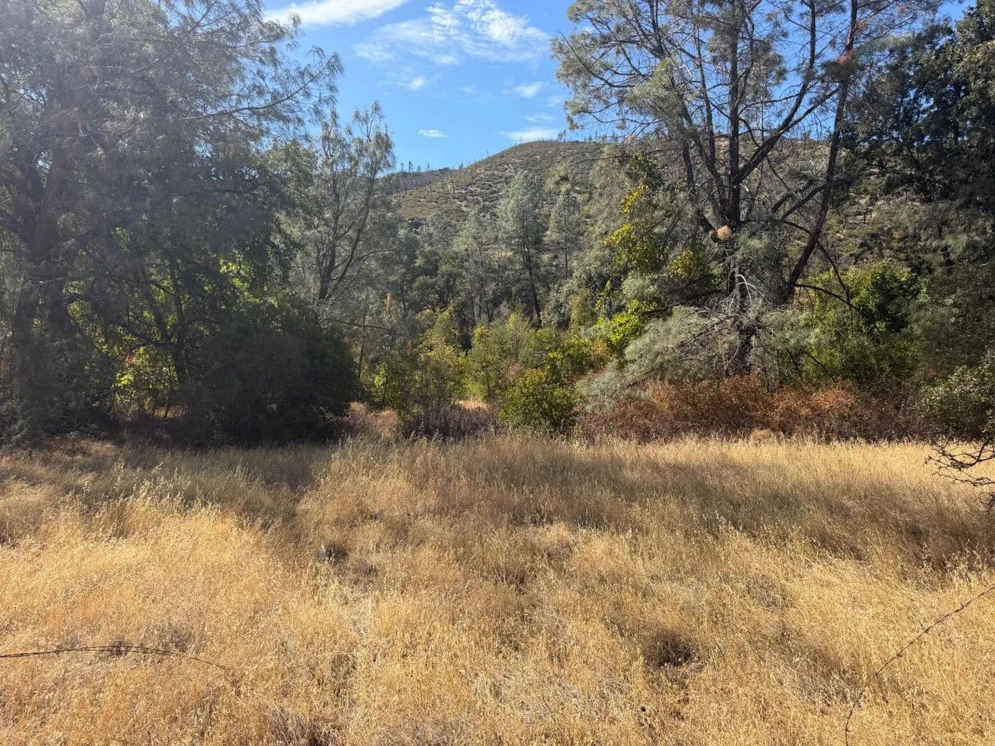 16.8 Acres of Land for Sale in Stonyford, CA - Stonyford, California, 95979
