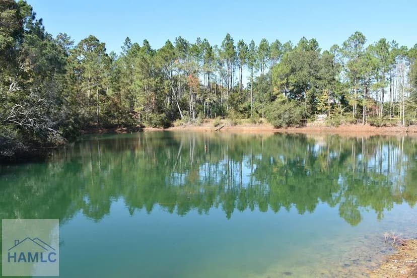 Lots & Land-Other in Ludowici