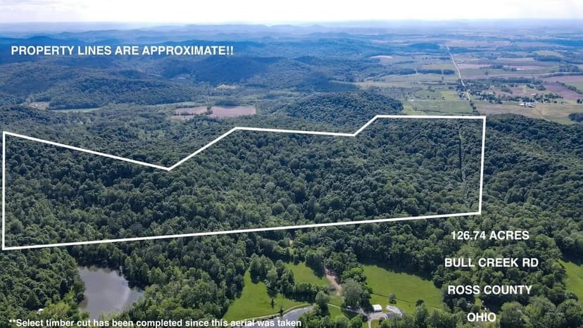 Bull Creek Rd - 126 acres