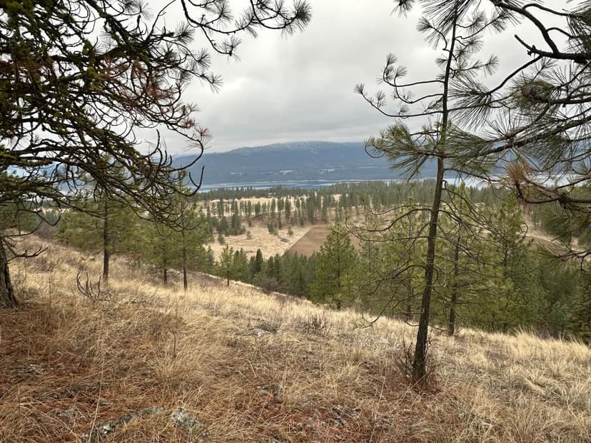 Property from 3250 DAISY MINE RD - KW