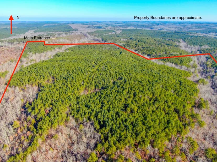 122 Acres in Marion County, AL $325,000