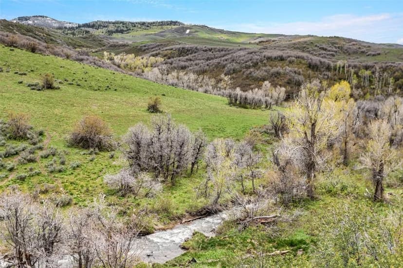 Vacant Land in Hayden