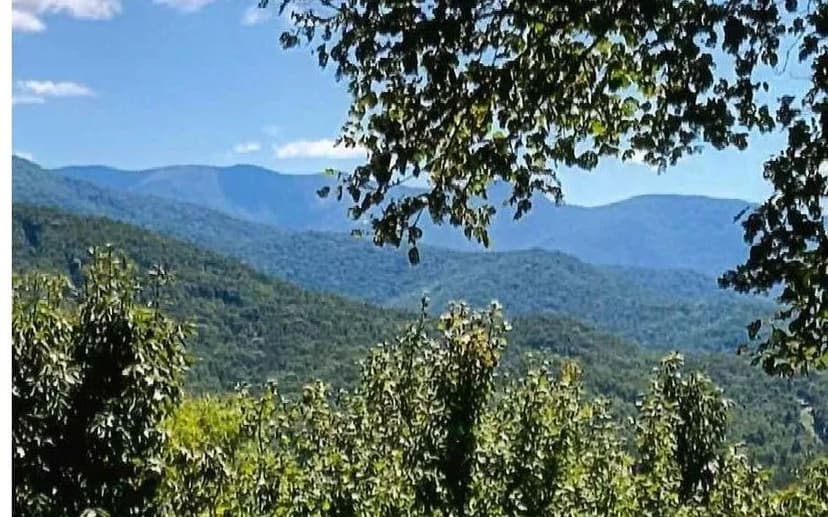 Lots & Land-Other in Young Harris