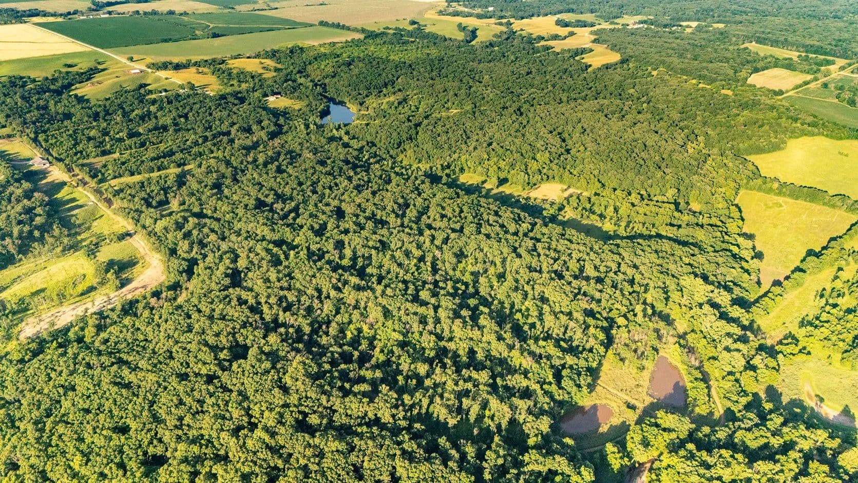 Prime 160±-Acre Hunting Farm with a Cabin & Income Potential – Knox County - Forest Springs, Missouri, 63446