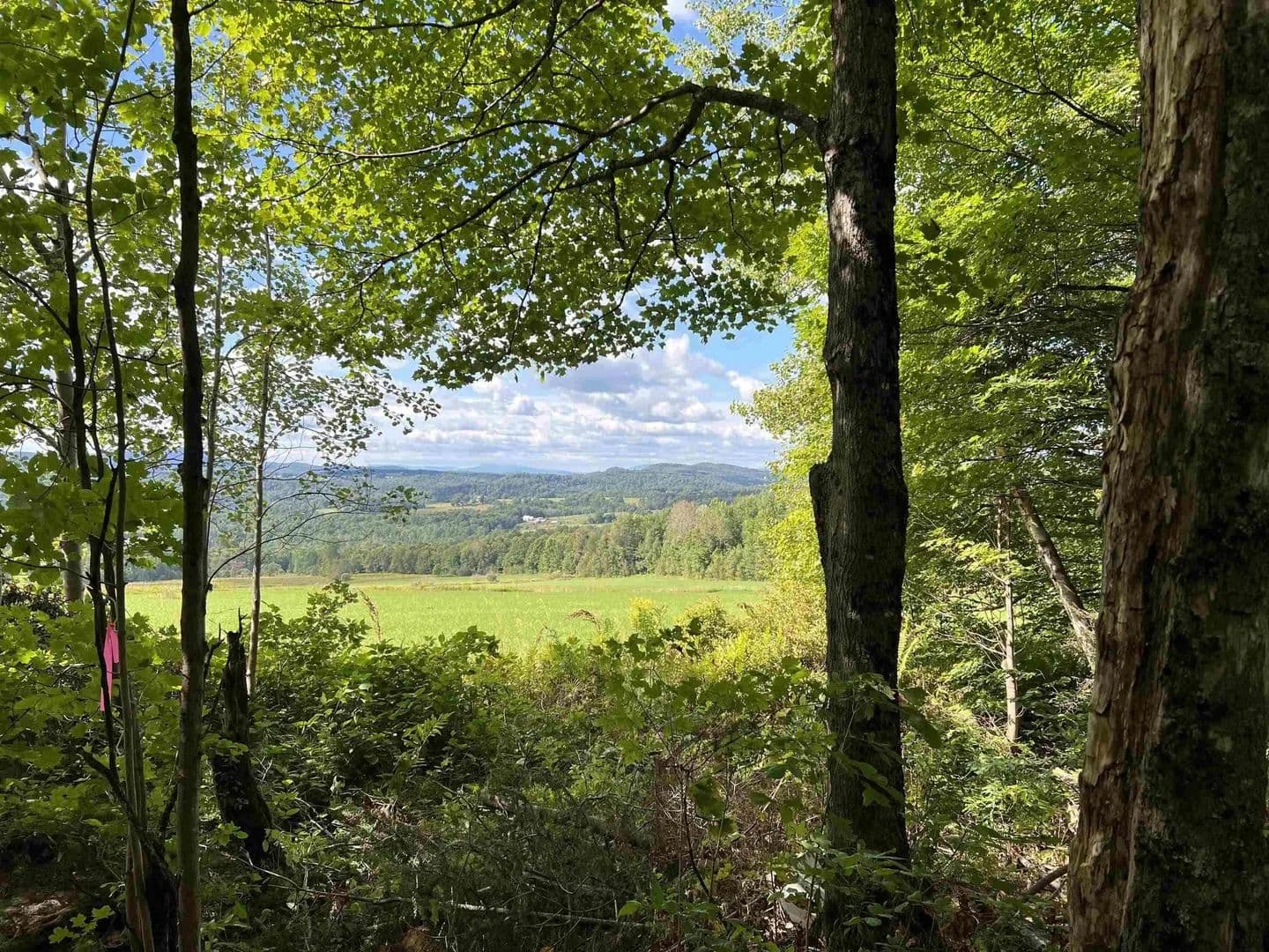 Lots & Land-Other in Cabot - Cabot, Vermont, 05647