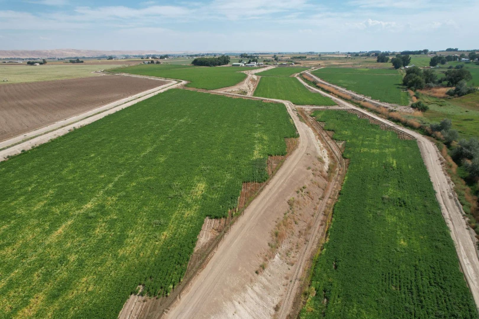 Ontario Southslope Farm - Ontario, Oregon, 97914
