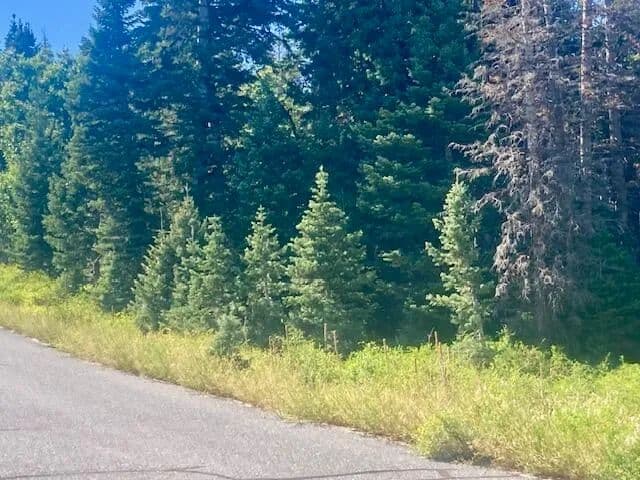 Vacant Land in Kolob - Utah, 84767