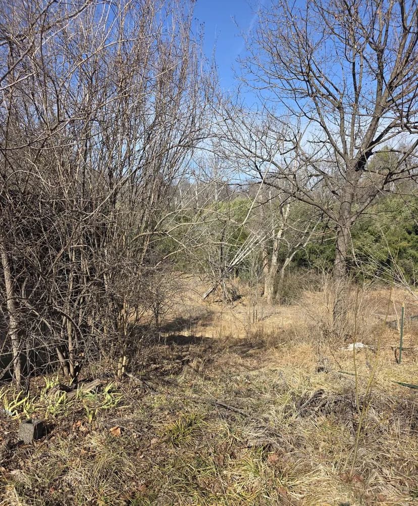 Vacant Land (0-10 Acres) in Lynchburg