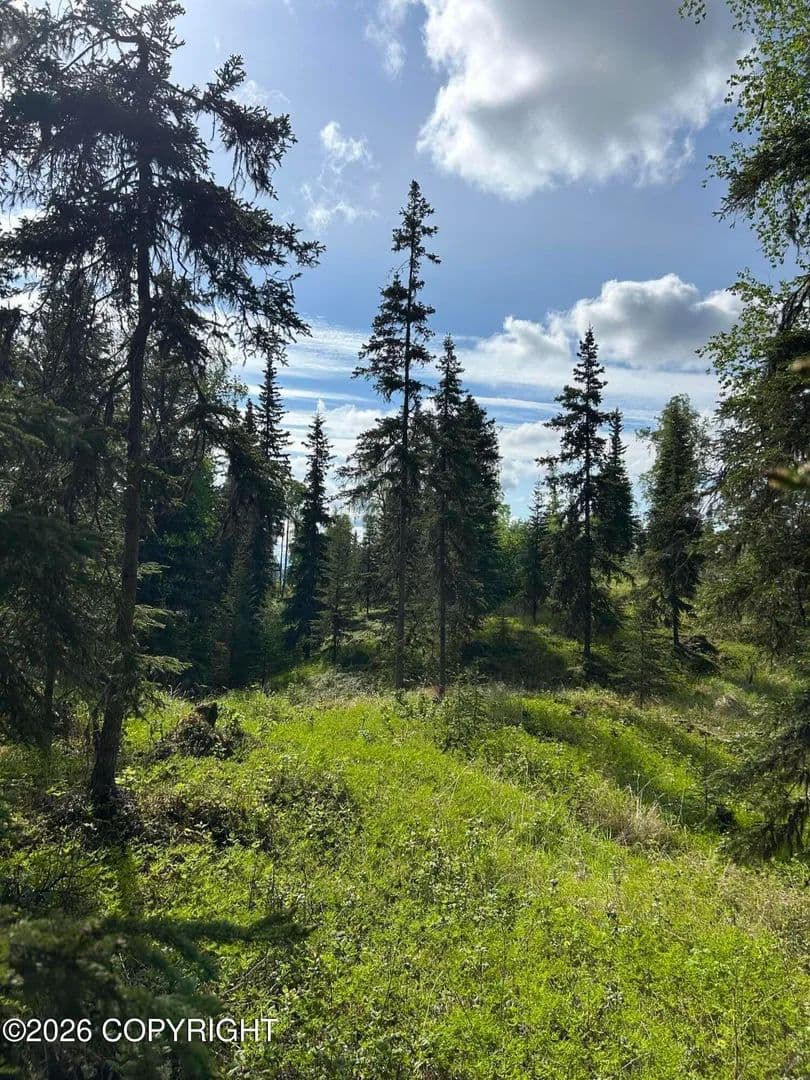 Property from 34815 Schwalm Road - KW - Soldotna, Alaska, 99669
