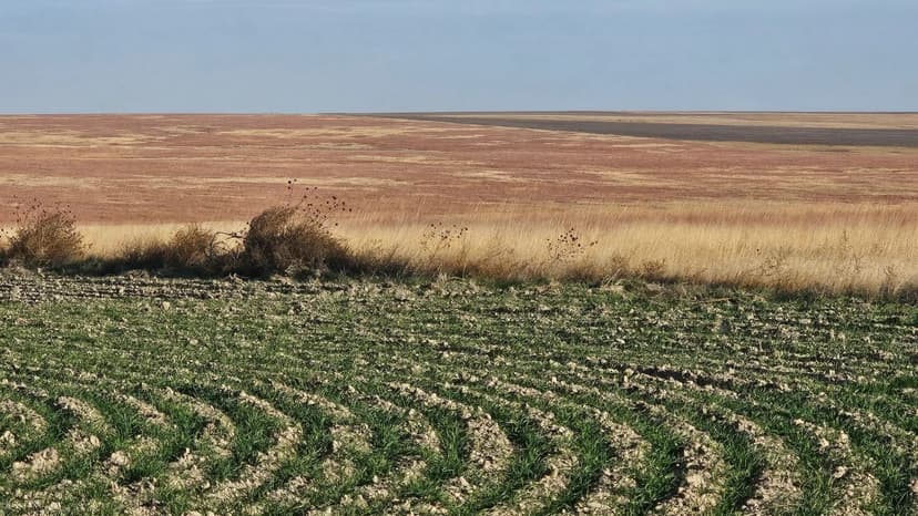 Westward C Farmland – 557.7 Acres