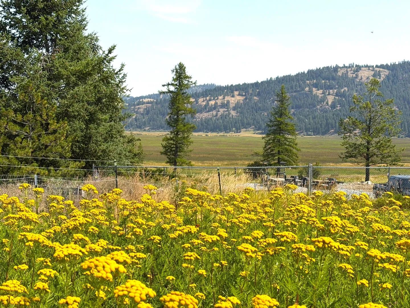 200 Cottage Lane, Kila, MT Well-Septic Installed-Manufactured Homes OK - Montana, 59920