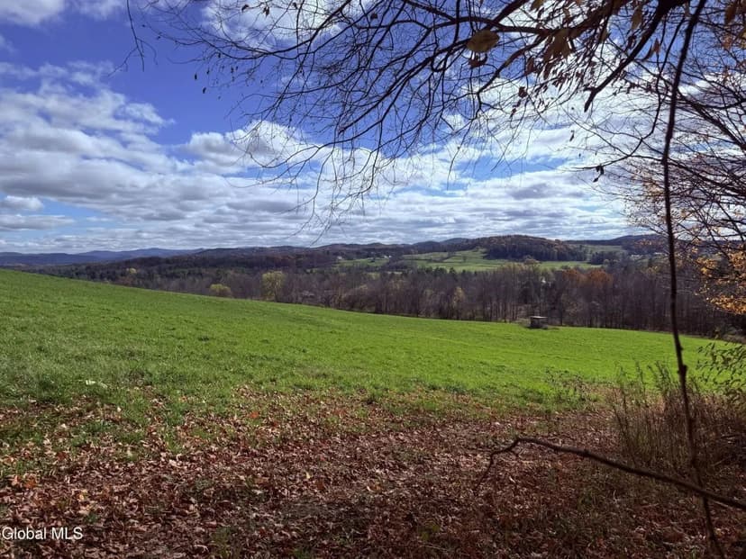 Vacant Land in Whitehall