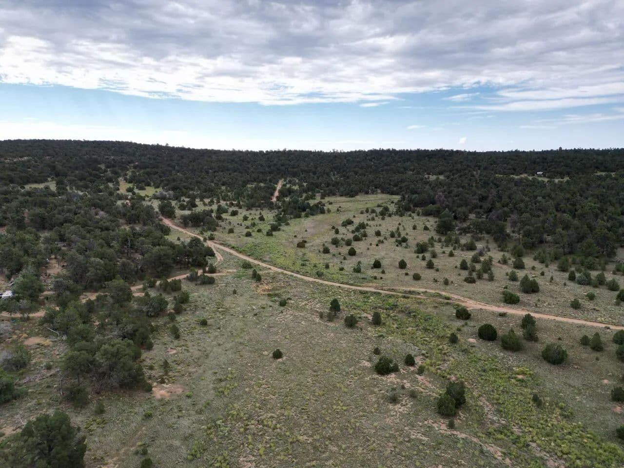 Property from Lot 14 Candy Kitchen Road - KW - Ramah, New Mexico, 87321