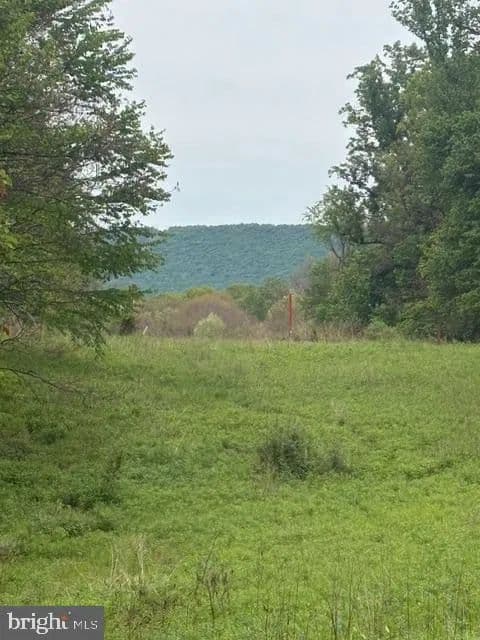Vacant Land in Dauphin - Dauphin, Pennsylvania, 17018