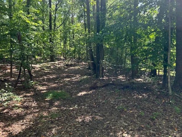 Vacant Land (10+ Acres) in Reidsville