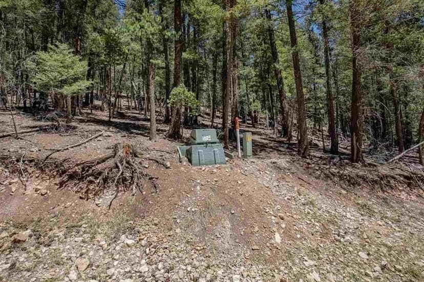 Lots & Land-Other in Cloudcroft