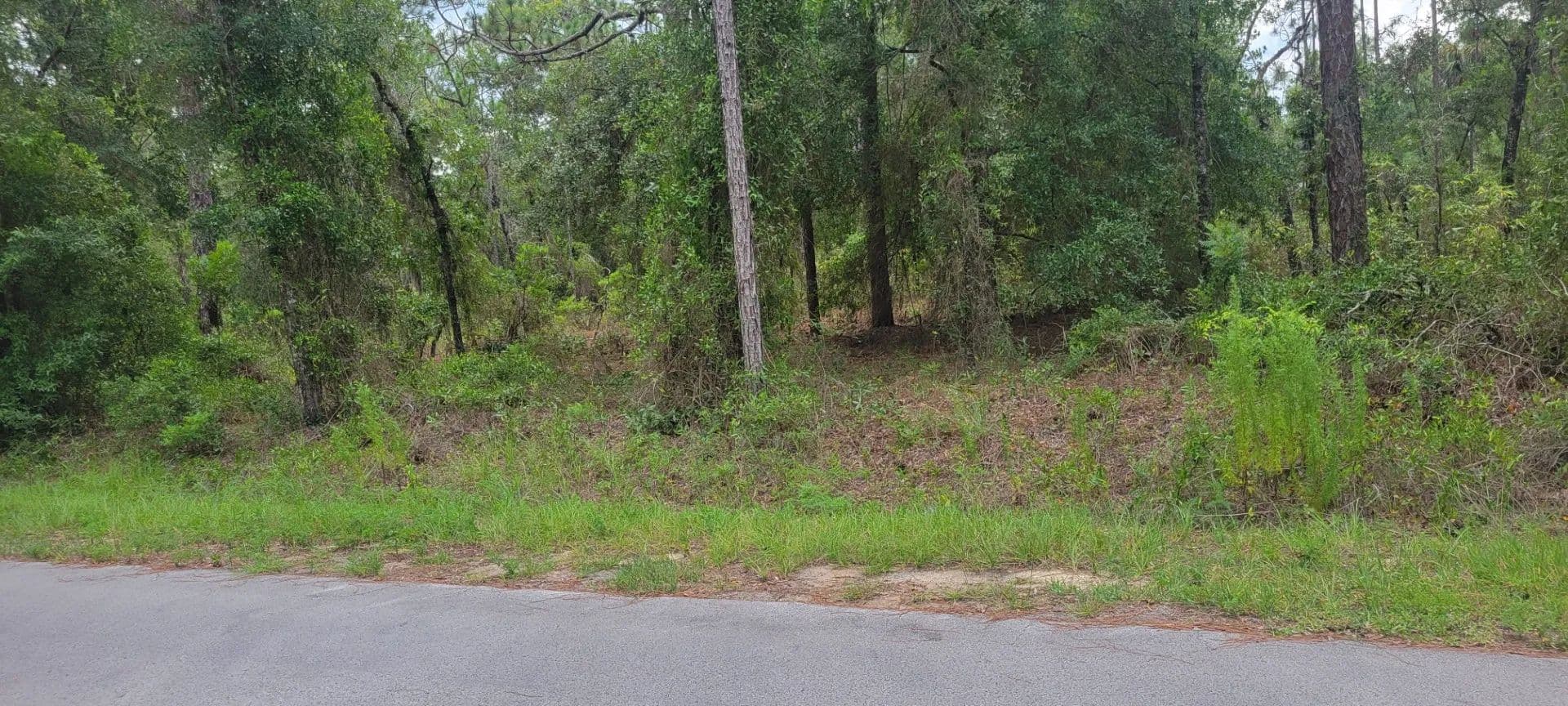 Lots & Land-Other in DUNNELLON - Dunnellon, Florida, 34431