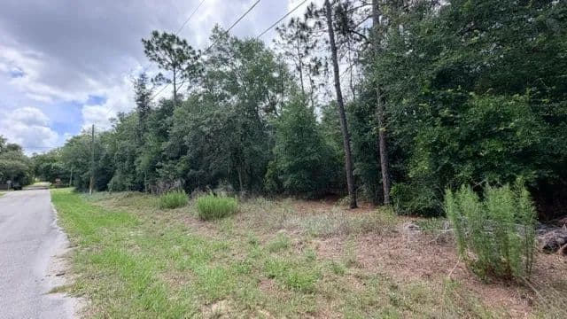 Vacant Land in Inverness - Inverness, Florida, 34453