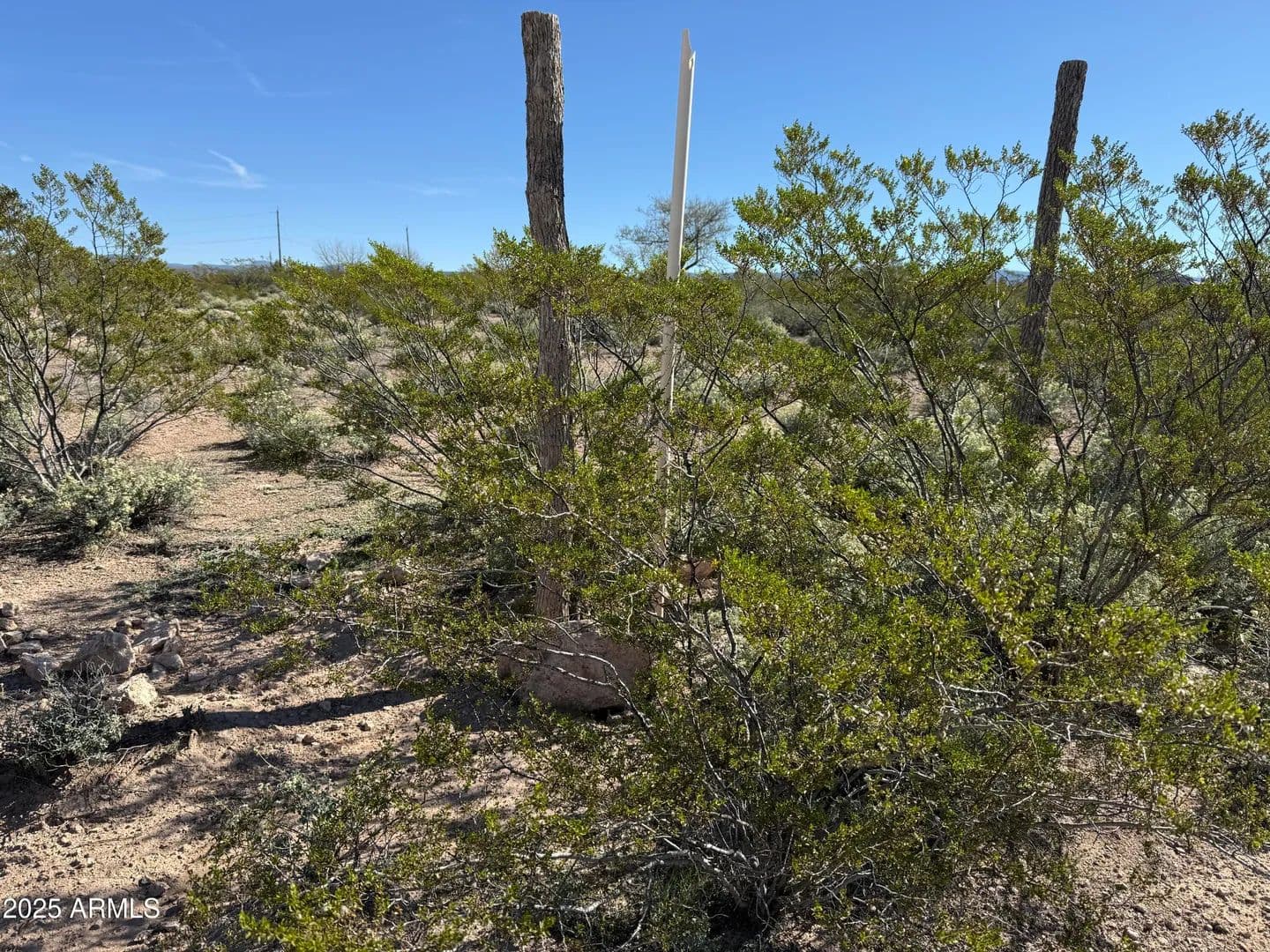 Vacant Land in Rimrock - Rimrock, Arizona, 86335