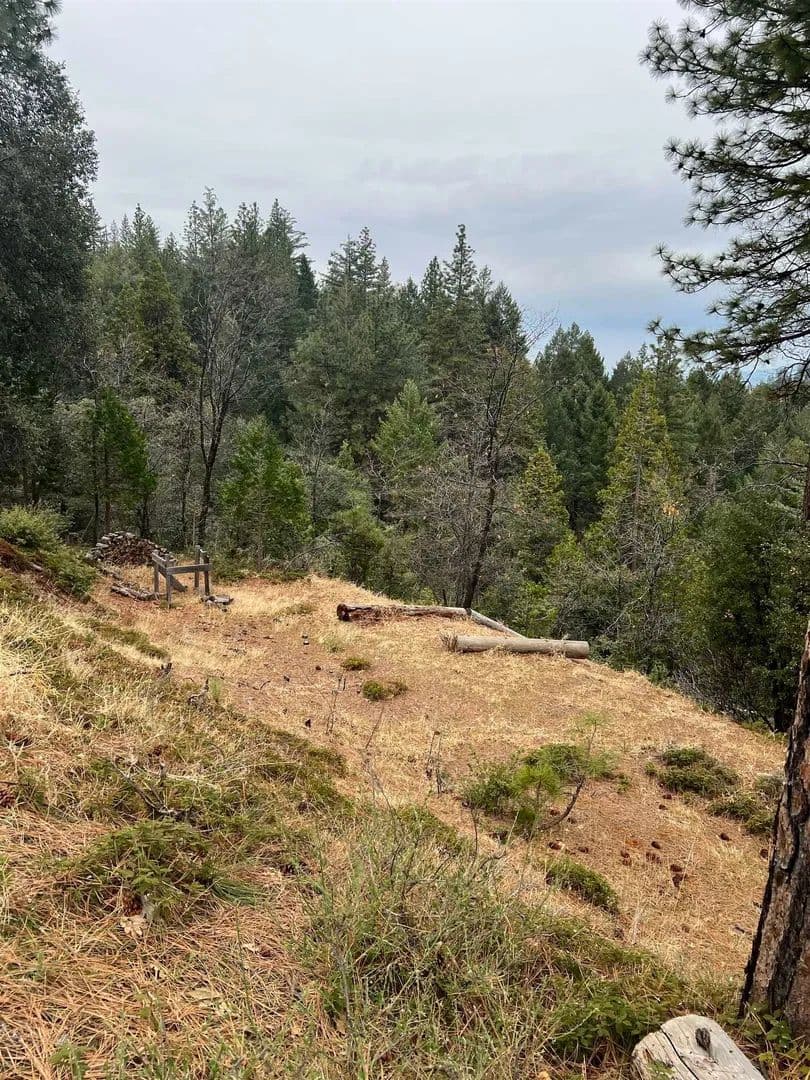 Lots & Land-Other in Twain Harte - Twain Harte, California, 95383