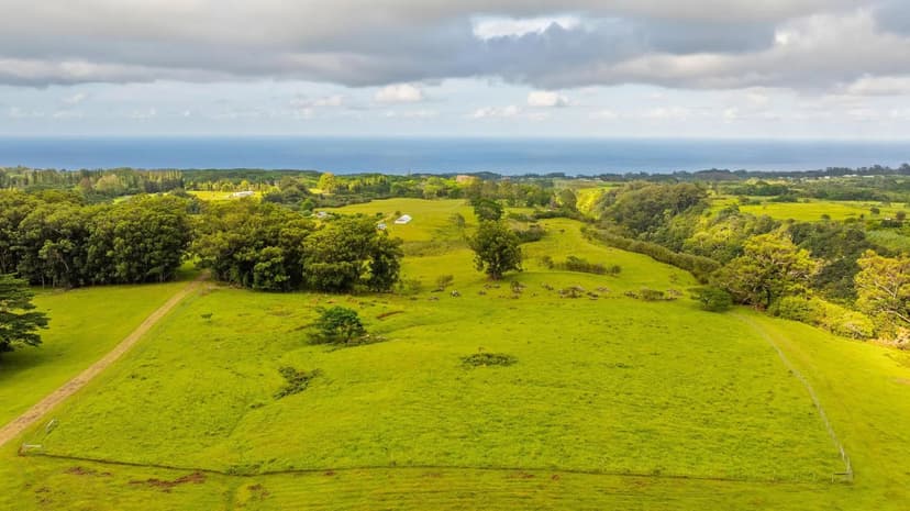 Lots & Land-Other in Hakalau