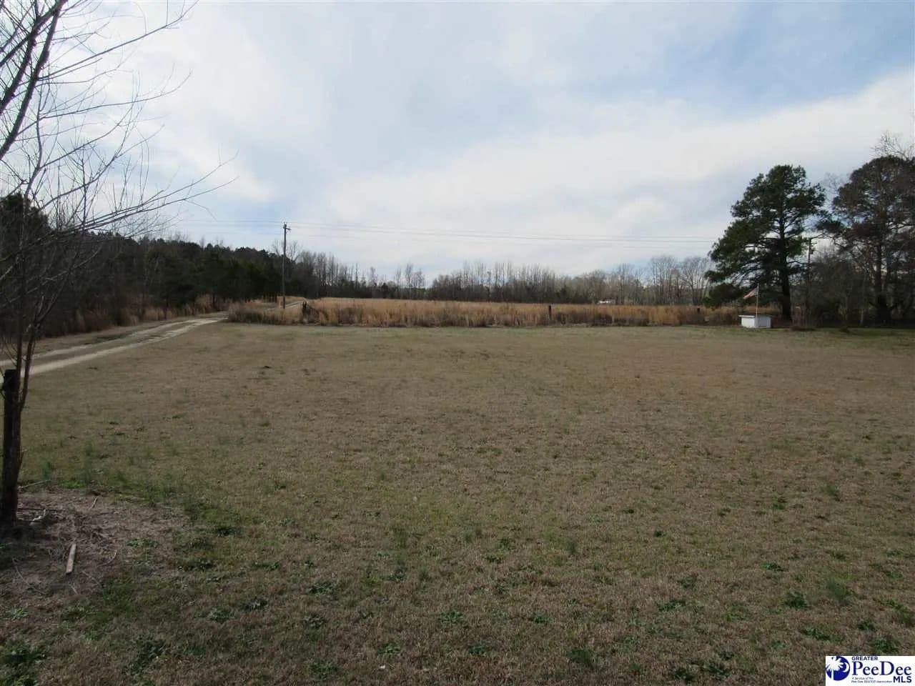 Lots & Land-Other in Lamar - Lamar, South Carolina, 29069