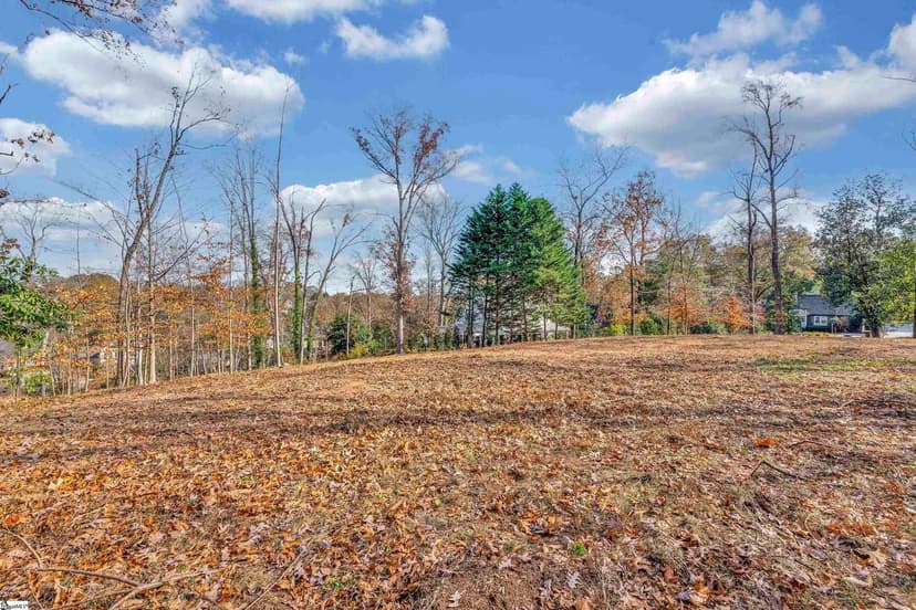 Vacant Land in Greenville