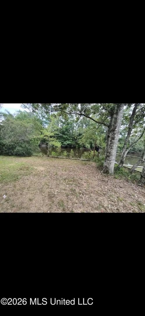 Lots & Land-Other in Carriere - Carriere, Mississippi, 39426