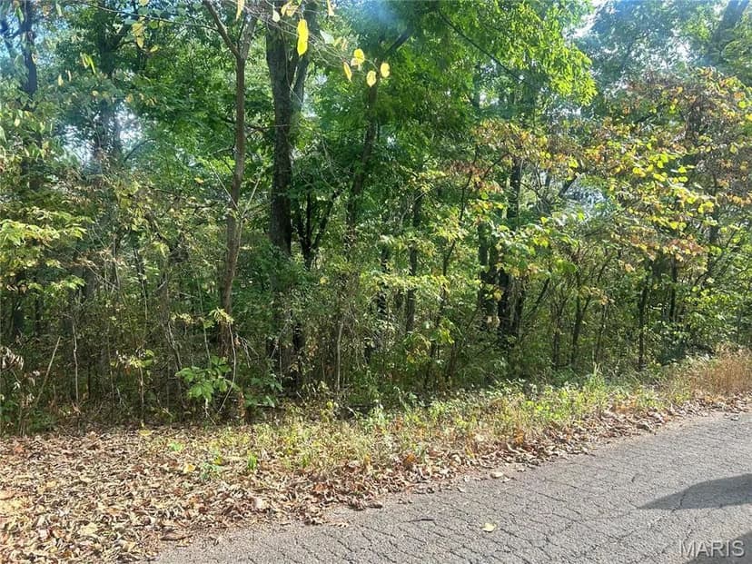 Vacant Land in Potosi