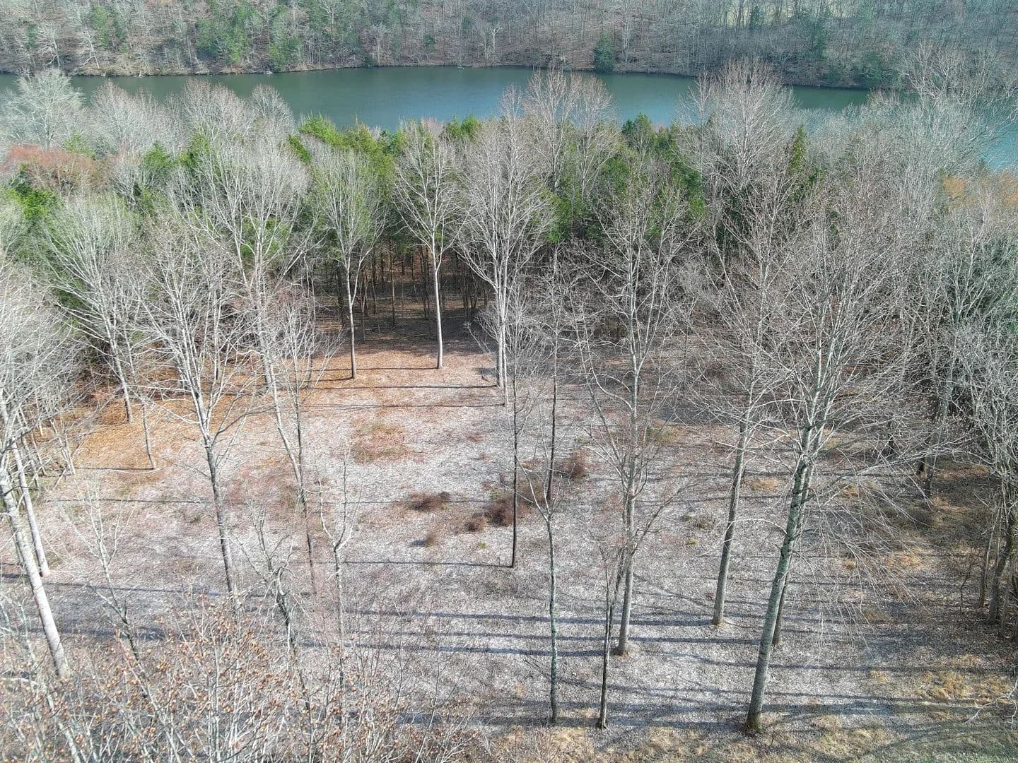 Vacant Land in Shelbyville - Shelbyville, Tennessee, 37160