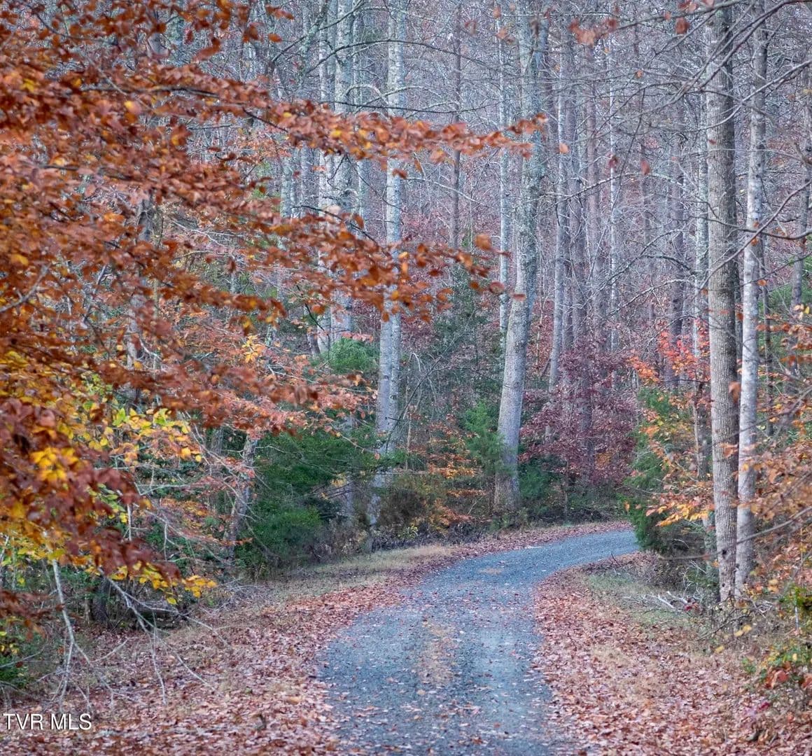 Vacant Land in Elizabethton - Elizabethton, Tennessee, 37643