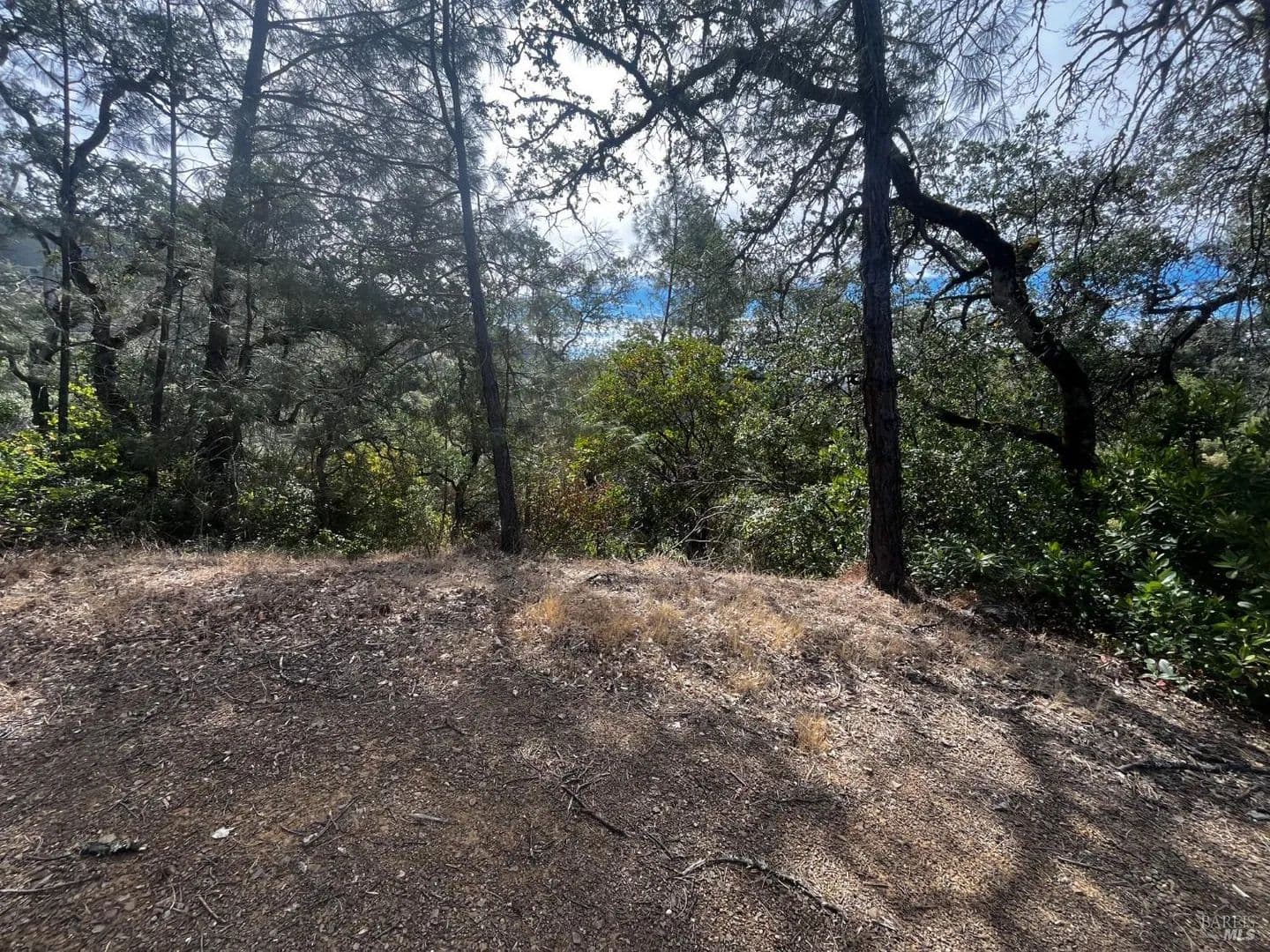 Lots & Land-Other in Nice - Nice, California, 95464