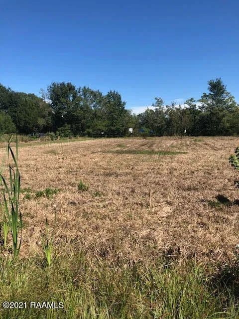 Property from 131 Reggie Road - KW