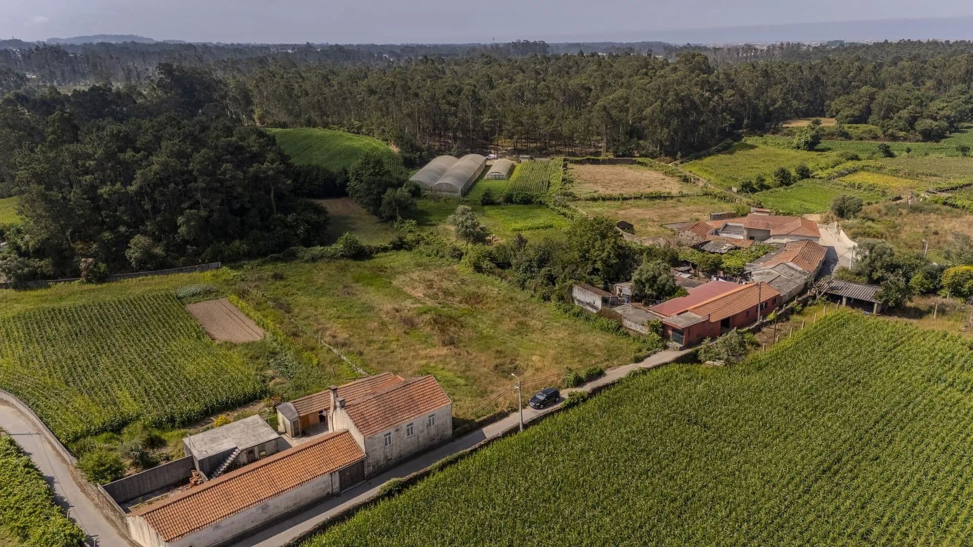 1292 Acres of Land for Sale in Barqueiros, Barcelos - land for sale
