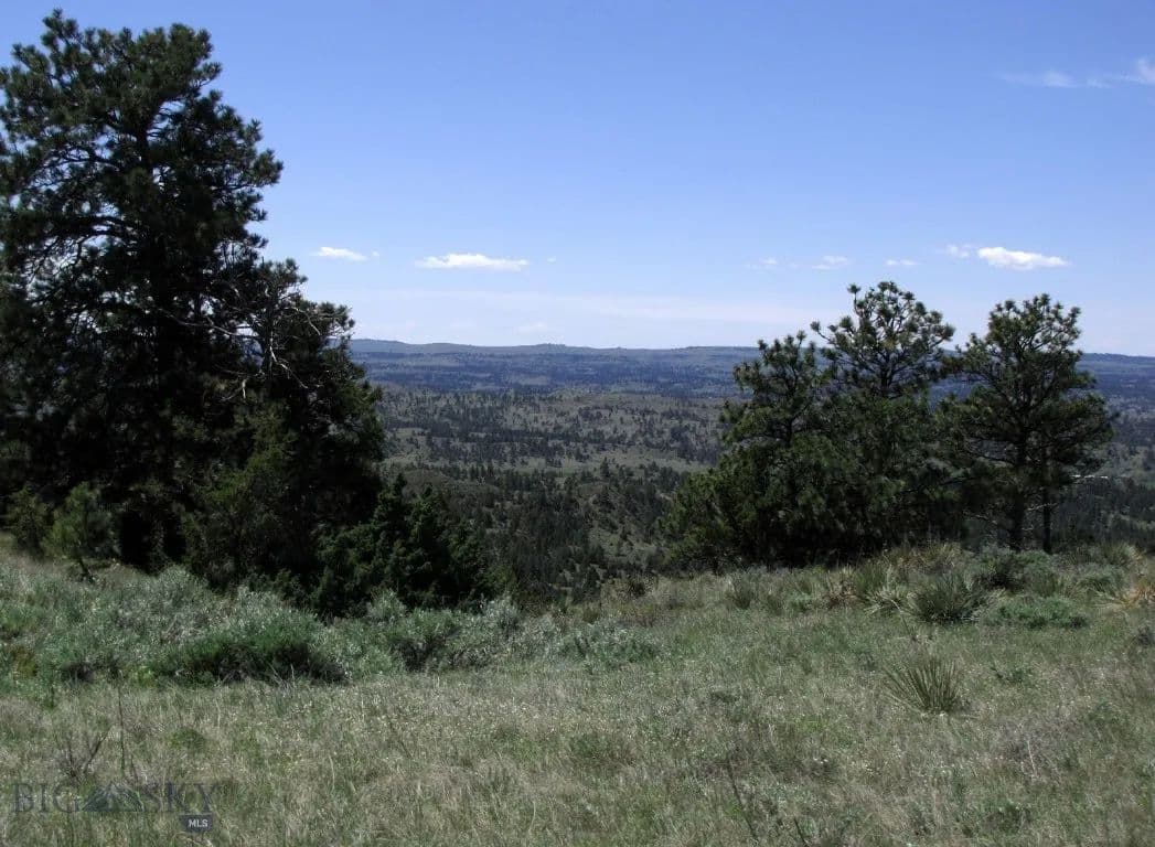 174.27 Acres of Land for Sale in Hysham, MT - Hysham, Montana, 59038