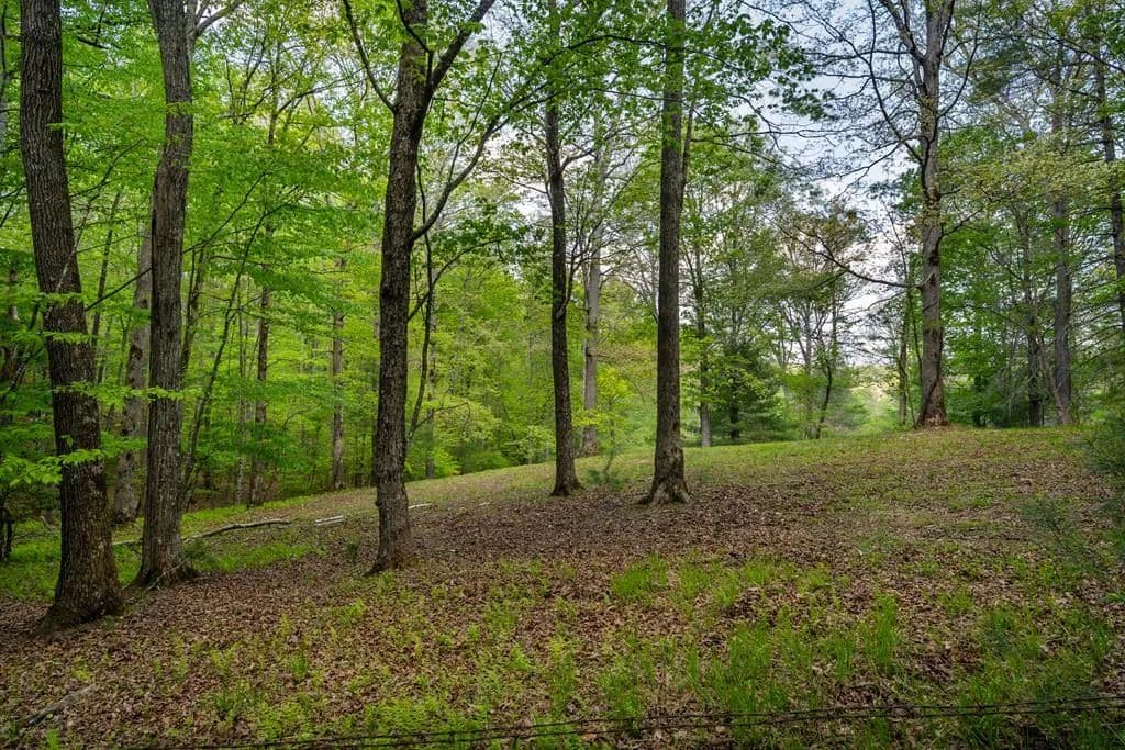 Lots & Land-Other in Morganton - Morganton, Georgia, 30560