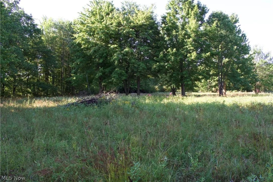 6.39 Acres of Land for Sale in Thompson, OH - Thompson, Ohio, 44057