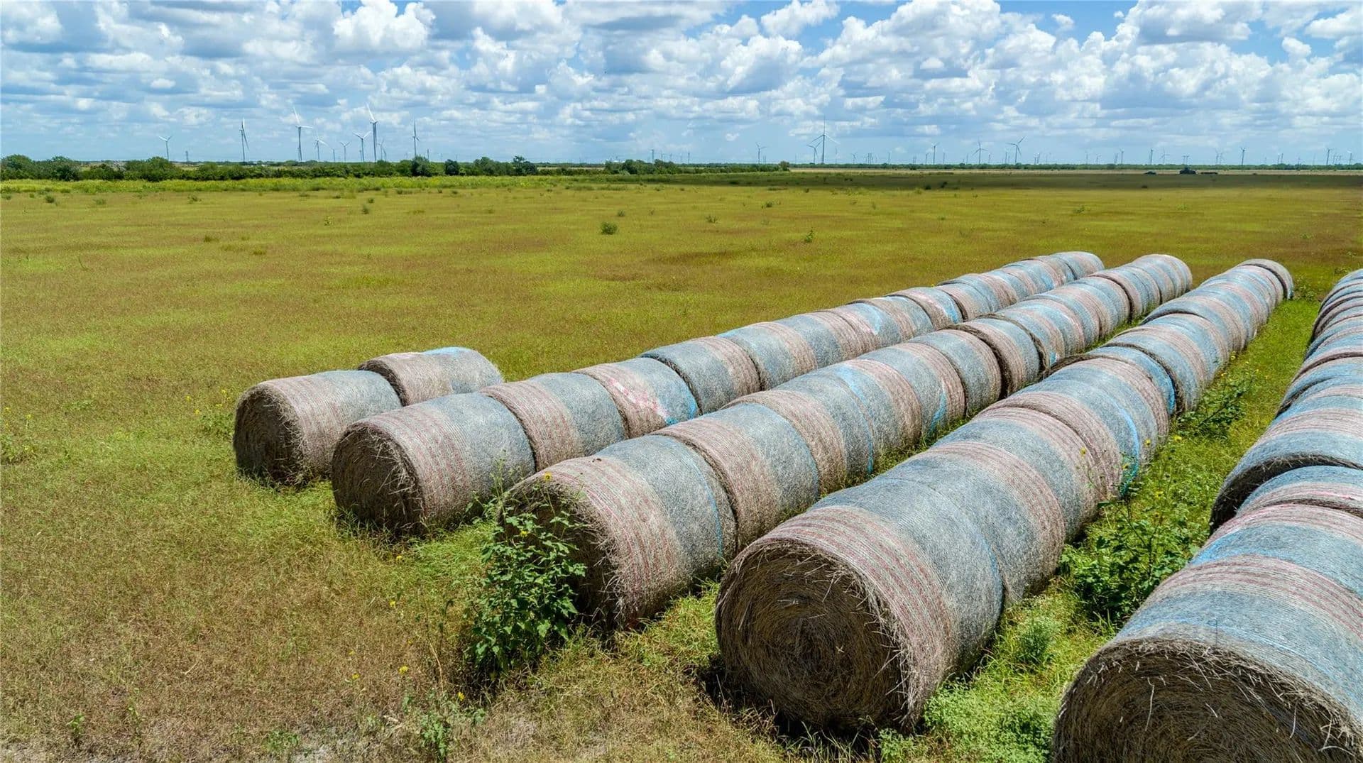 Vacant Land in Mathis - Mathis, Texas, 78368