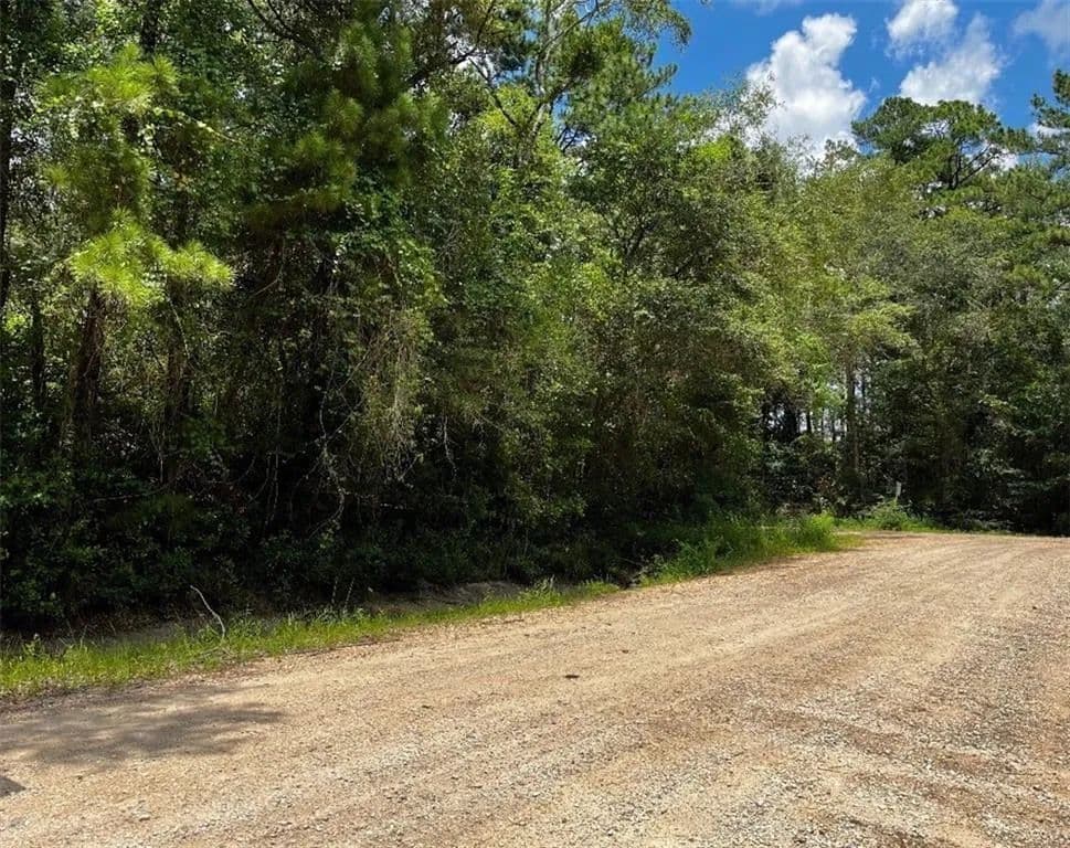 3.18 Acres of Land for Sale in Theodore, AL - Theodore, Alabama, 36582