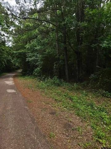 Land -Agricultural (Not Zoned) in Winona - Winona, Texas, 75792